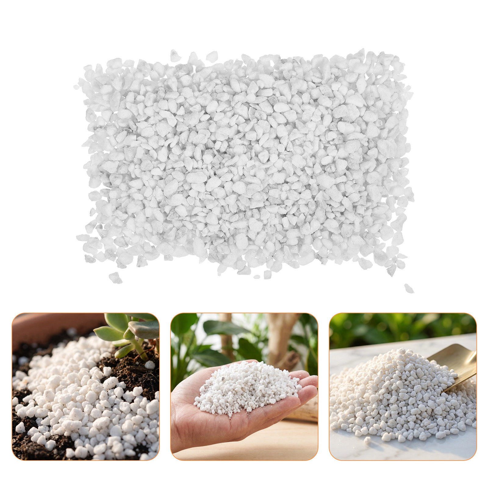 Horticulture Soil Perlite - 園芸用パーライト、室内用、5クォート、白色、植物用、土壌の改良、排水用、多肉植物や蘭に最適。