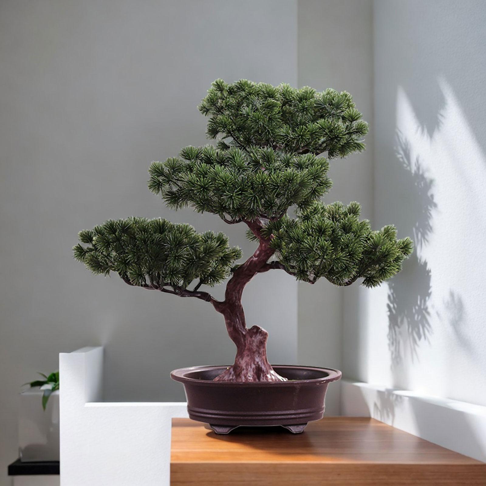 Bonsai Garden Sushi - 人工盆栽偽の木鉢植え緑の装飾デスクトップディスプレイリビングルームホーム DIY 禅庭の装飾