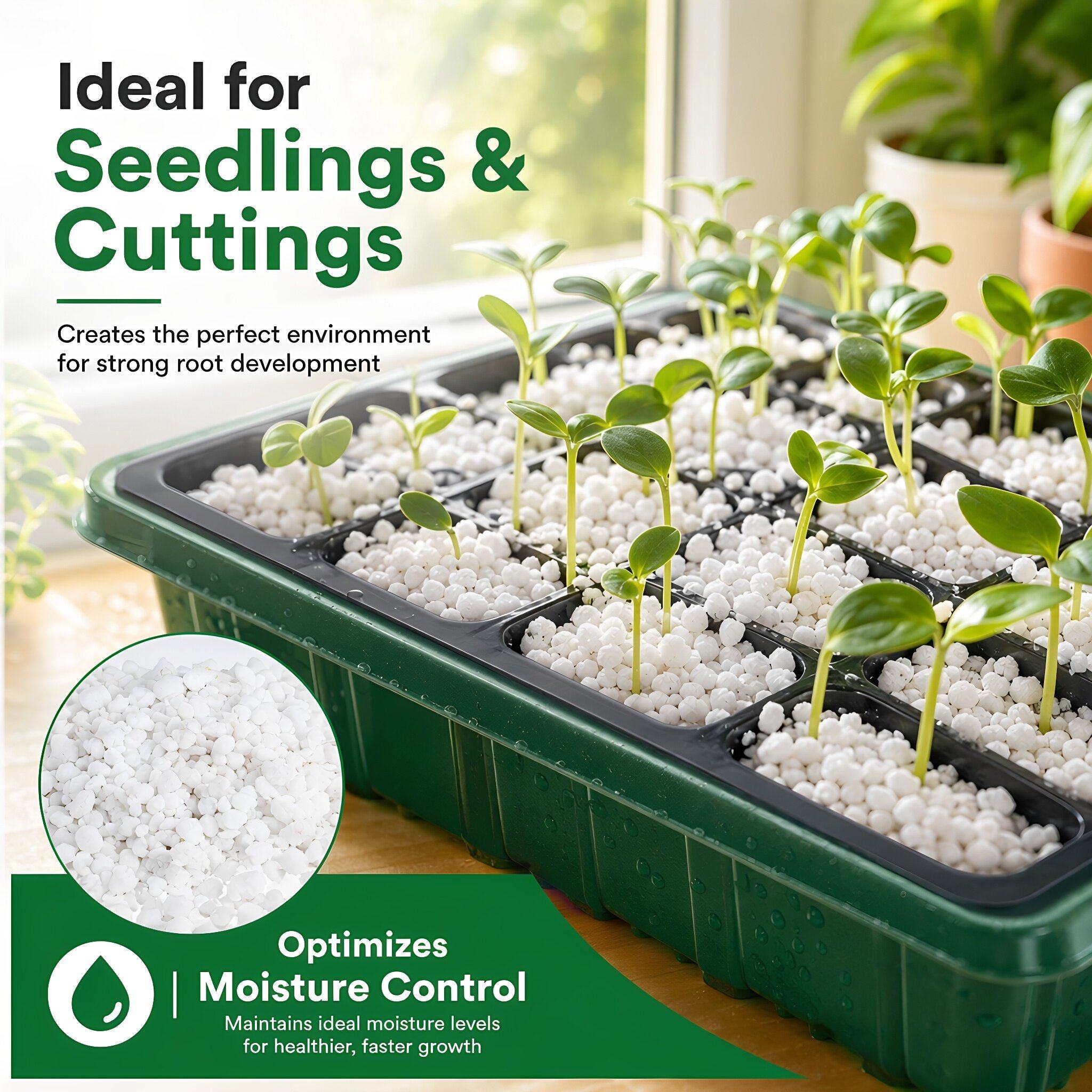 5クォート入り、園芸用パーライト。土壌の通気性と排水性を高め - Horticulture Soil Perlite のレビューと価格