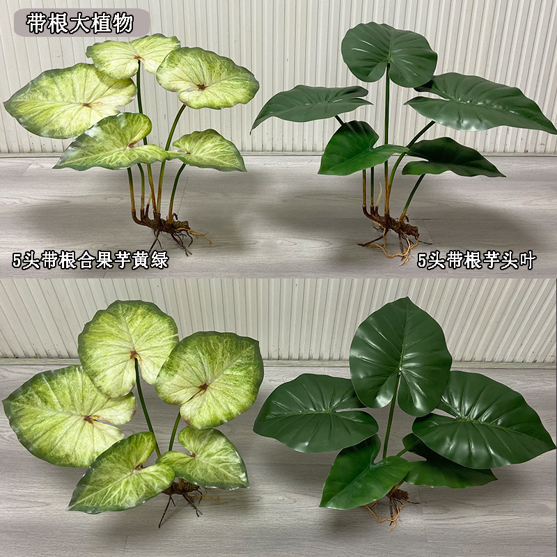 人工花の植物,緑の木,竹の盆栽,屋外の庭の壁,リビングルーム - Bonsai Garden Sushi のレビューと価格