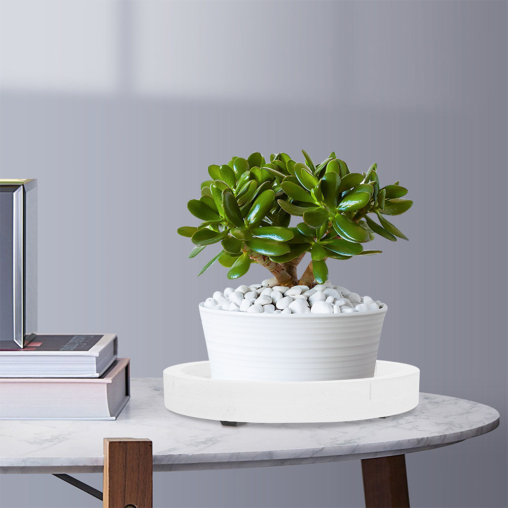 白い丸型の厚みのあるセメント風プランタートレイ、室内植物用、 - Humidity Tray Pebble のレビューと価格