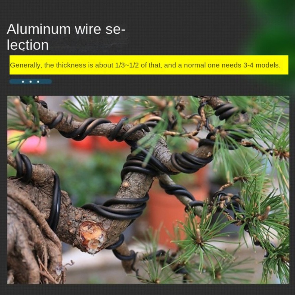 アルミ製盆栽ワイヤー ガーデン盆栽用型材 1//2//3// - Bonsai Garden Tools のレビューと価格
