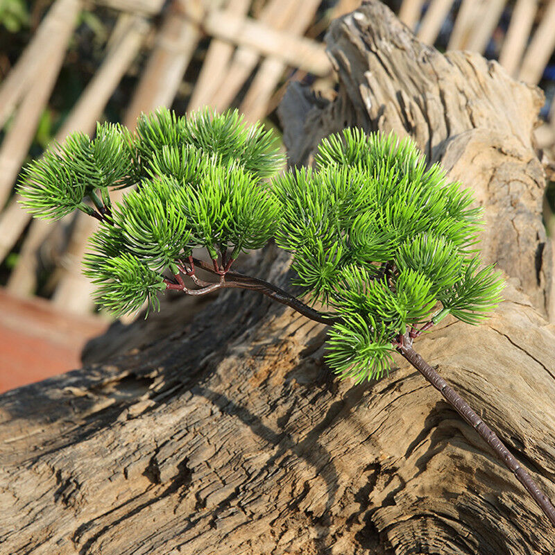 42 センチメートル人工植物松の枝緑の葉偽植物ホーム松盆栽ア - Bonsai Garden Sushi のレビューと価格