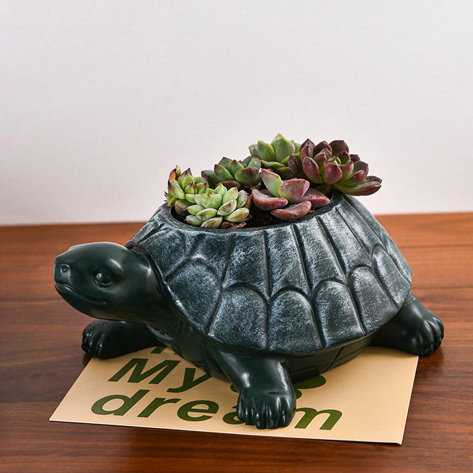 カメ型プランター植木鉢、コレクターズアイテム、装飾デスクオー - Bonsai Garden Cafe のレビューと価格