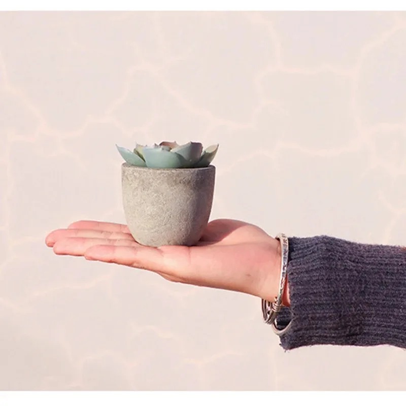 ミニ人工アロエ植物盆栽小さな模擬木鉢植え造花オフィステーブル - Bonsai Garden Sushi のレビューと価格
