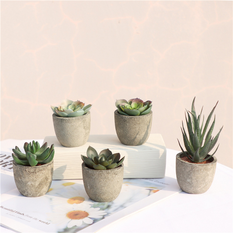 ミニ人工アロエ植物盆栽小さな模擬ツリーポット植物造花オフィス - Bonsai Garden Sushi のレビューと価格