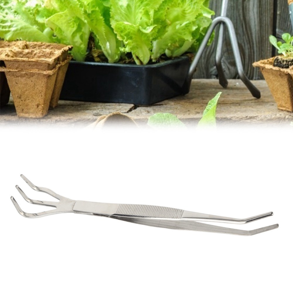 耐久性のある2-in-1盆栽用熊手 ステンレス製 軽量ガーデ - Bonsai Garden Tools のレビューと価格