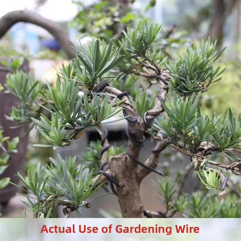 1.5MM盆栽ワイヤー アルミ盆栽トレーニングワイヤー モデ - Bonsai Garden Tools のレビューと価格