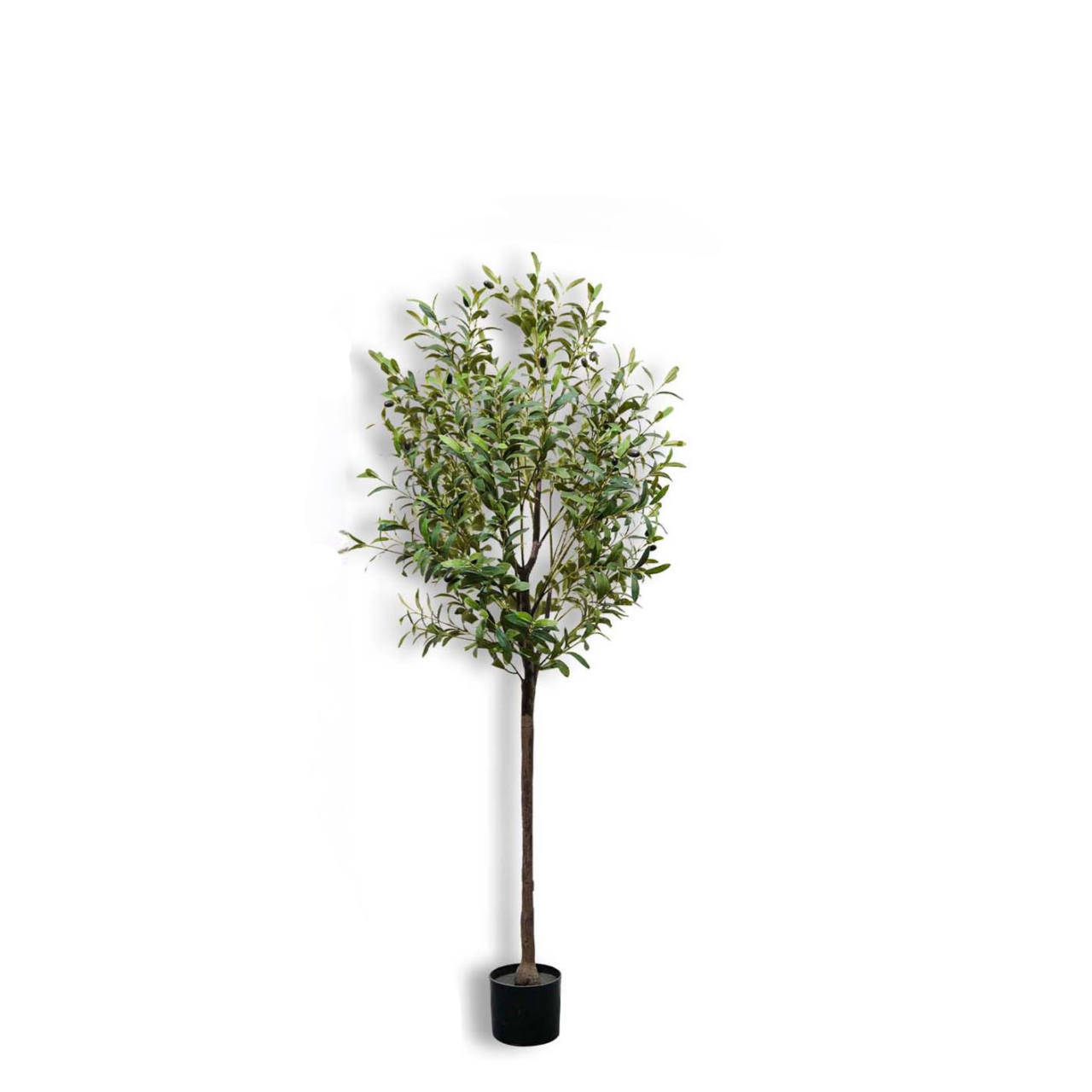 高さ150cm/59インチの人工オリーブの木、黒い植木鉢付き - Bonsai Garden Sushi のレビューと価格