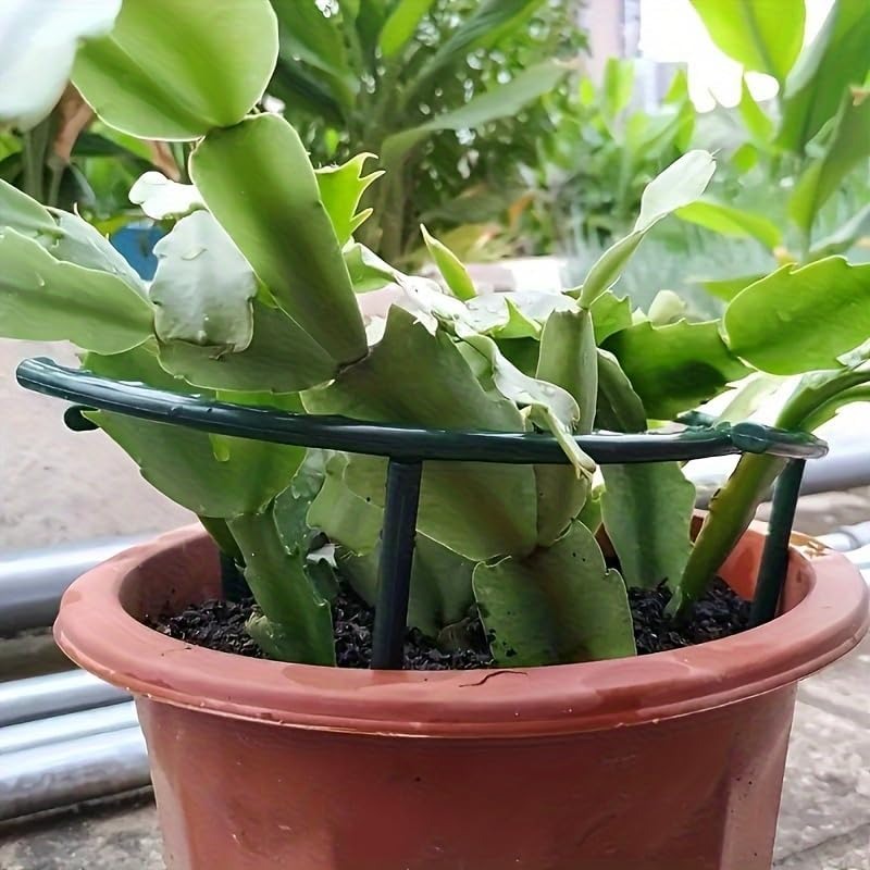 30-1 個プラスチック植物サポート半円形パイルフレーム固定 - Bonsai Garden Tools のレビューと価格