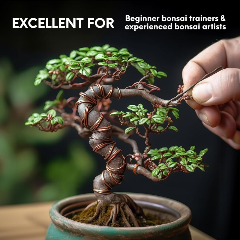 5 メートル盆栽トレーニングワイヤーセット庭の植物サポート用 - Bonsai Garden Tools のレビューと価格