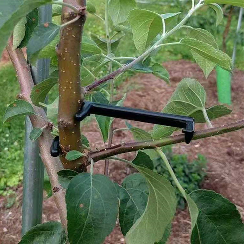 10-30 個果樹クリップ植物つるサポートツイストシェイパー - Bonsai Garden Tools のレビューと価格