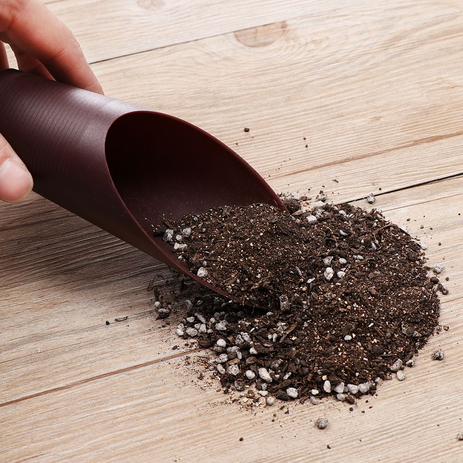プラスチック製の庭の手入れ用の芝生の形をしたポーチ,植物が付 - Bonsai Garden Tools のレビューと価格